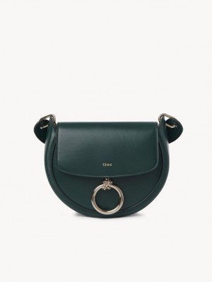 Chloe Arlène Small Crossbody Crossbody Väska Gröna | CHE-SR13463