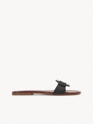 Chloe Chany Mule Platta Skor Svarta | CHE-SR14838