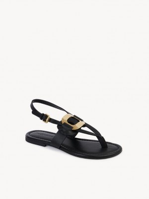 Chloe Chany Sandaler Svarta | CHE-SR14844