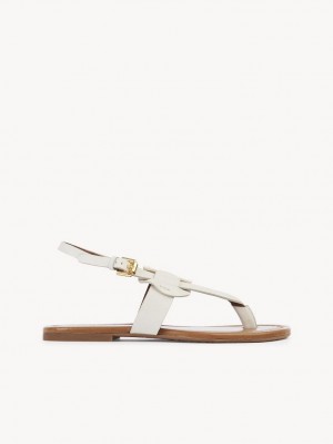 Chloe Chany Sandaler Vita | CHE-SR14845