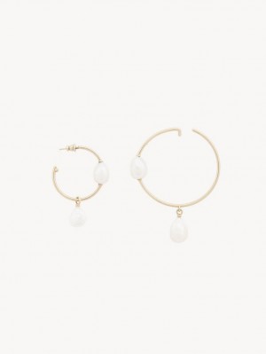 Chloe Darcey Hoop Örhängen Guld Vita | CHE-SR14442