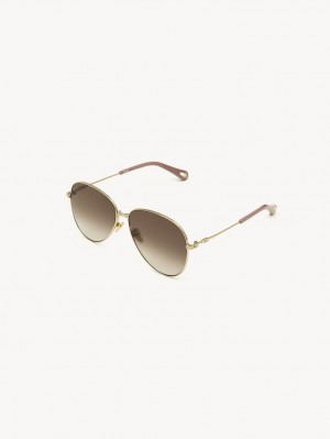 Chloe Faith Solglasögon Guld Bruna | CHE-SR14568