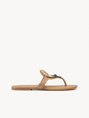 Chloe Hana Flip-flop Platta Skor Bruna | CHE-SR14818