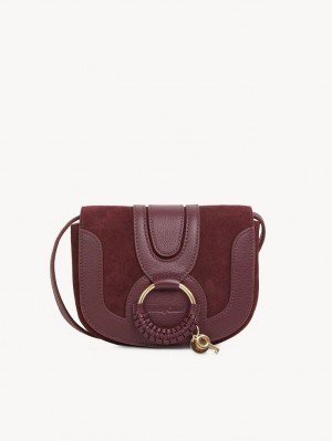 Chloe Hana Mini Axelväska Bruna | CHE-SR14586