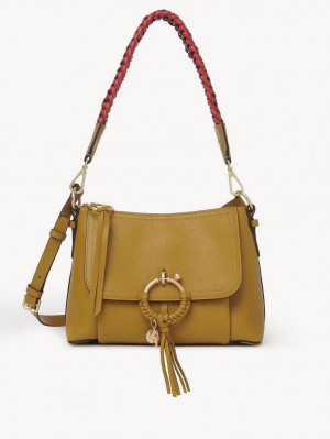 Chloe Joan Small Axelväska Bruna | CHE-SR14648