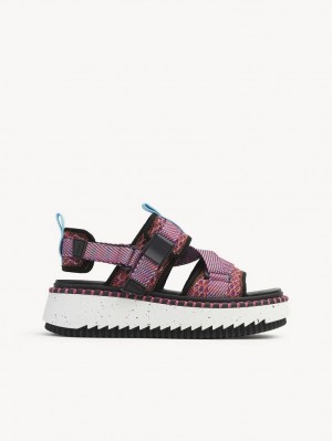 Chloe Lilli Platta Sandaler Rosa | CHE-SR14167