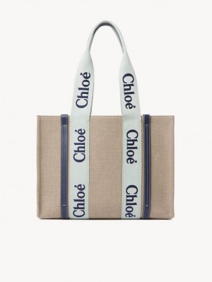 Chloe Medium Woody Toteväska Gröna Blå | CHE-SR13365