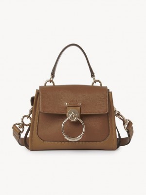 Chloe Mini Tess Day Crossbody Väska Bruna | CHE-SR13599