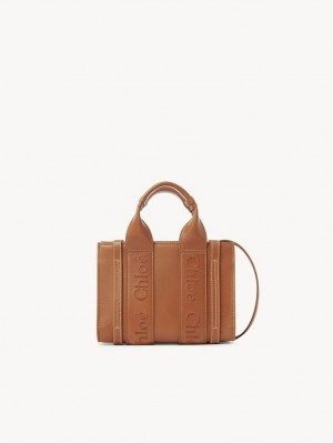 Chloe Mini Woody Crossbody Väska Bruna | CHE-SR13559