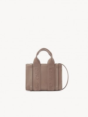 Chloe Mini Woody Crossbody Väska Bruna | CHE-SR13569