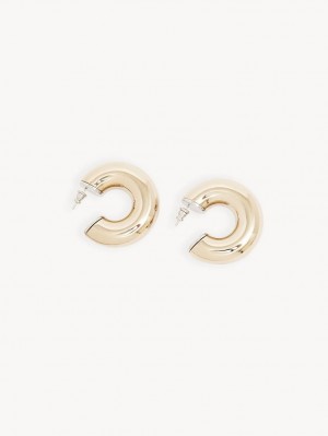 Chloe Nancy Hoop Örhängen Guld | CHE-SR14355