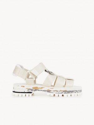 Chloe Nikie Active Platta Sandaler Grå | CHE-SR14178