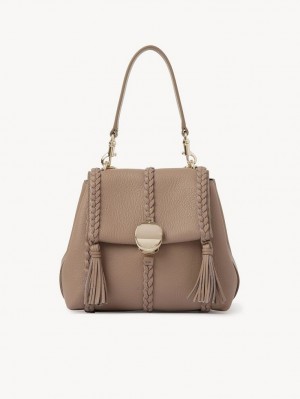 Chloe Penelope Small Soft Axelväska Bruna | CHE-SR13456