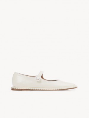 Chloe Rubie Ballet Flat Vita | CHE-SR14259