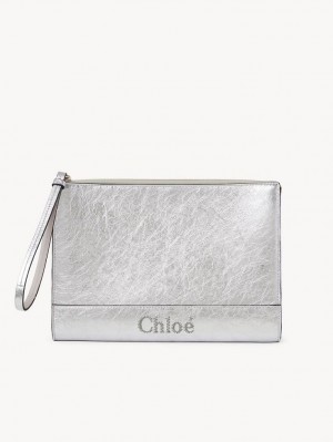 Chloe Sense Zippered Påse Silver | CHE-SR14323