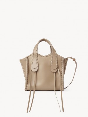 Chloe Small Mony Crossbody Väska Bruna | CHE-SR13602