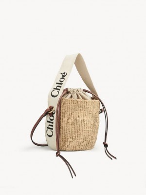 Chloe Small Woody Basket Crossbody Väska Vita | CHE-SR13609