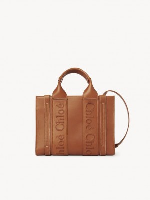 Chloe Small Woody Crossbody Väska Bruna | CHE-SR13535