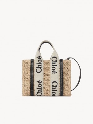 Chloe Small Woody Crossbody Väska Bruna | CHE-SR13625