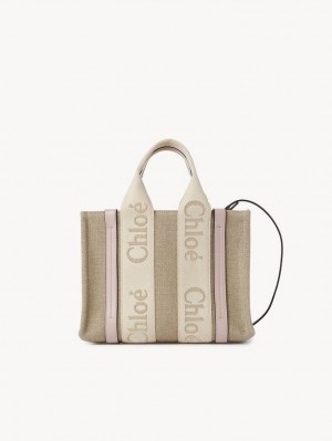 Chloe Small Woody Crossbody Väska Grå | CHE-SR13622