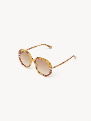 Chloe West Small Solglasögon Havana Patchwork | CHE-SR14518