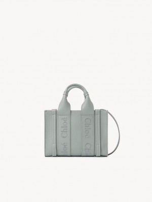 Chloe Woody Tote 1 Mini Bags Gröna | CHE-SR13697