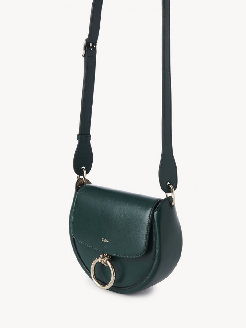 Chloe Arlène Small Crossbody Crossbody Väska Gröna | CHE-SR13463