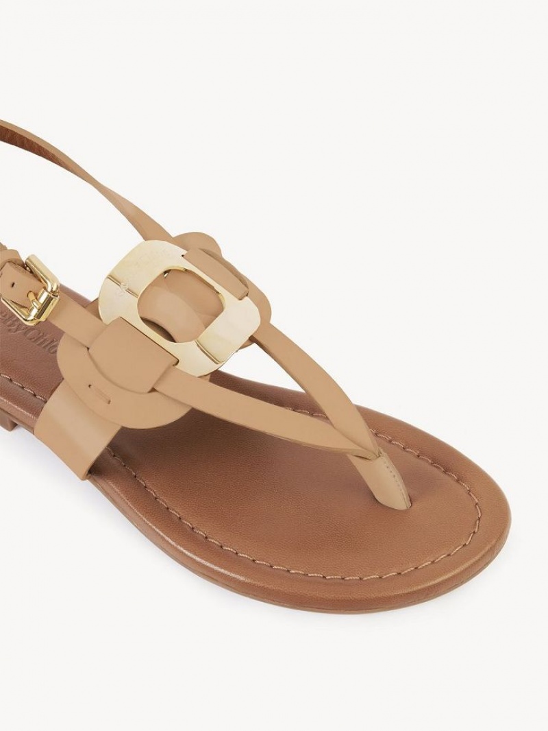 Chloe Chany Sandaler Bruna | CHE-SR14824