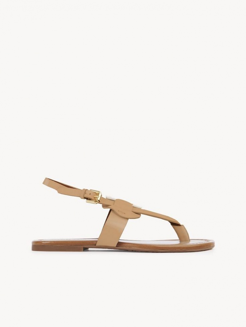 Chloe Chany Sandaler Bruna | CHE-SR14824