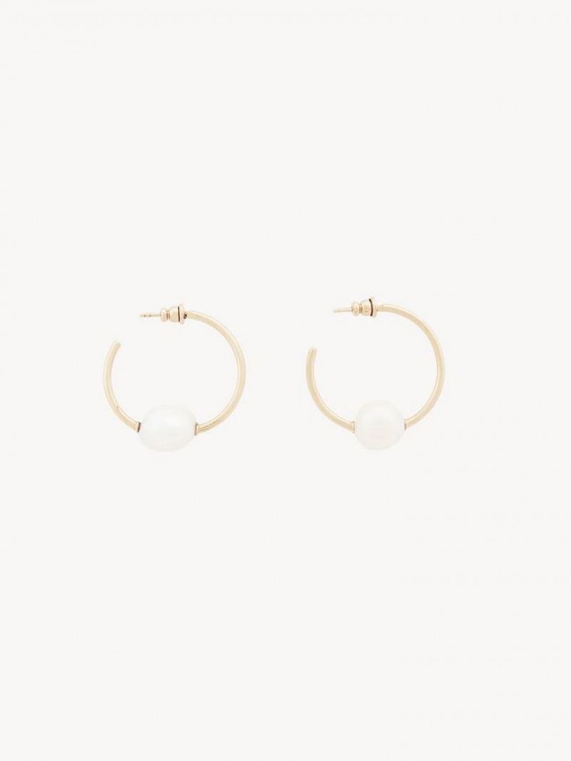 Chloe Darcey Hoop Örhängen Guld Vita | CHE-SR14441