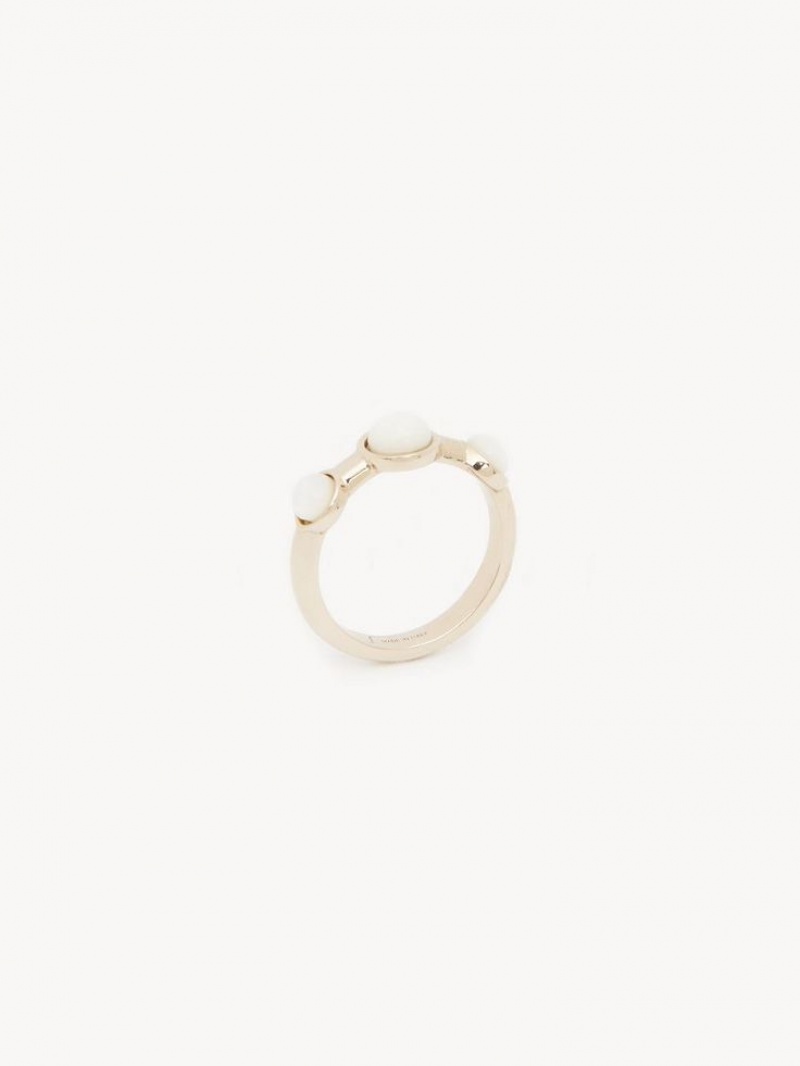 Chloe Darcey Ringar Guld | CHE-SR14412