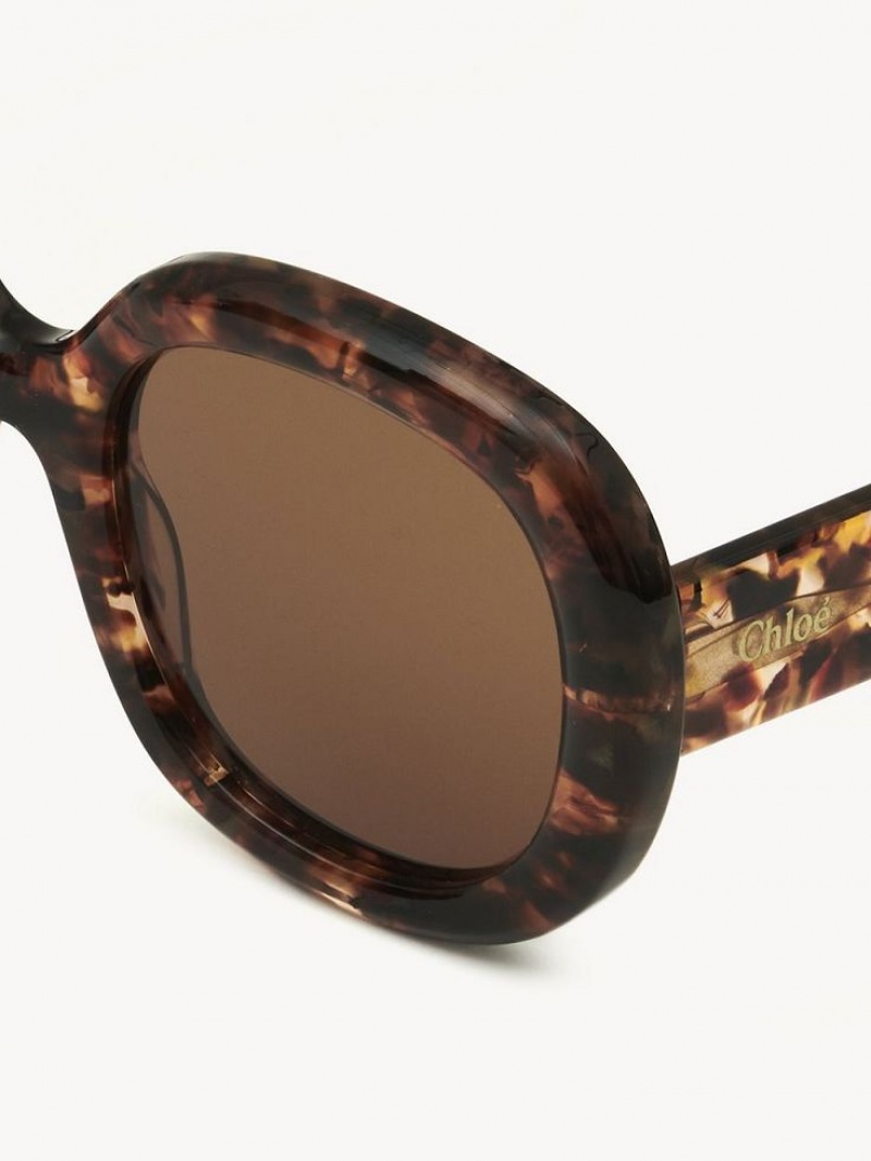 Chloe Gayia Solglasögon Marble Havana | CHE-SR14578