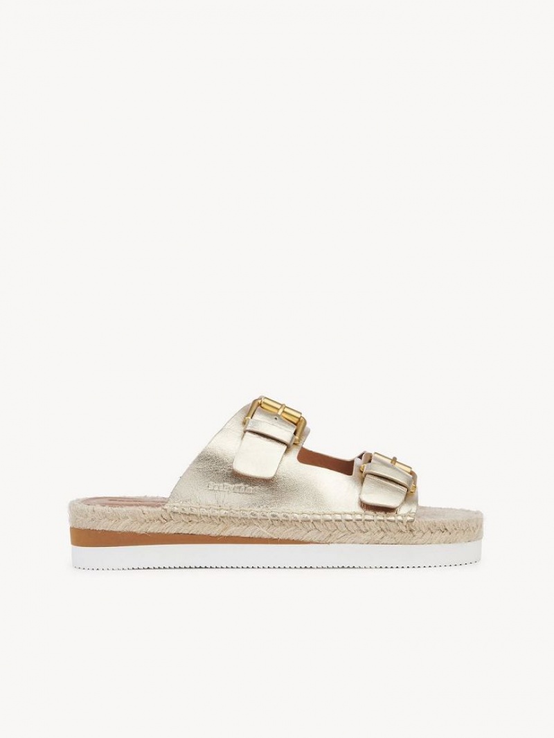 Chloe Glyn Platform Espadrille Sandaler Silver | CHE-SR14802