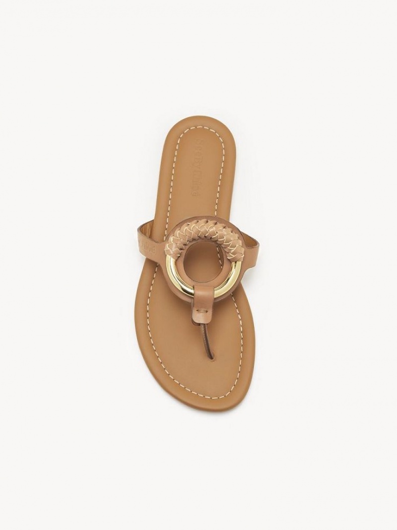 Chloe Hana Flip-flop Platta Skor Bruna | CHE-SR14818