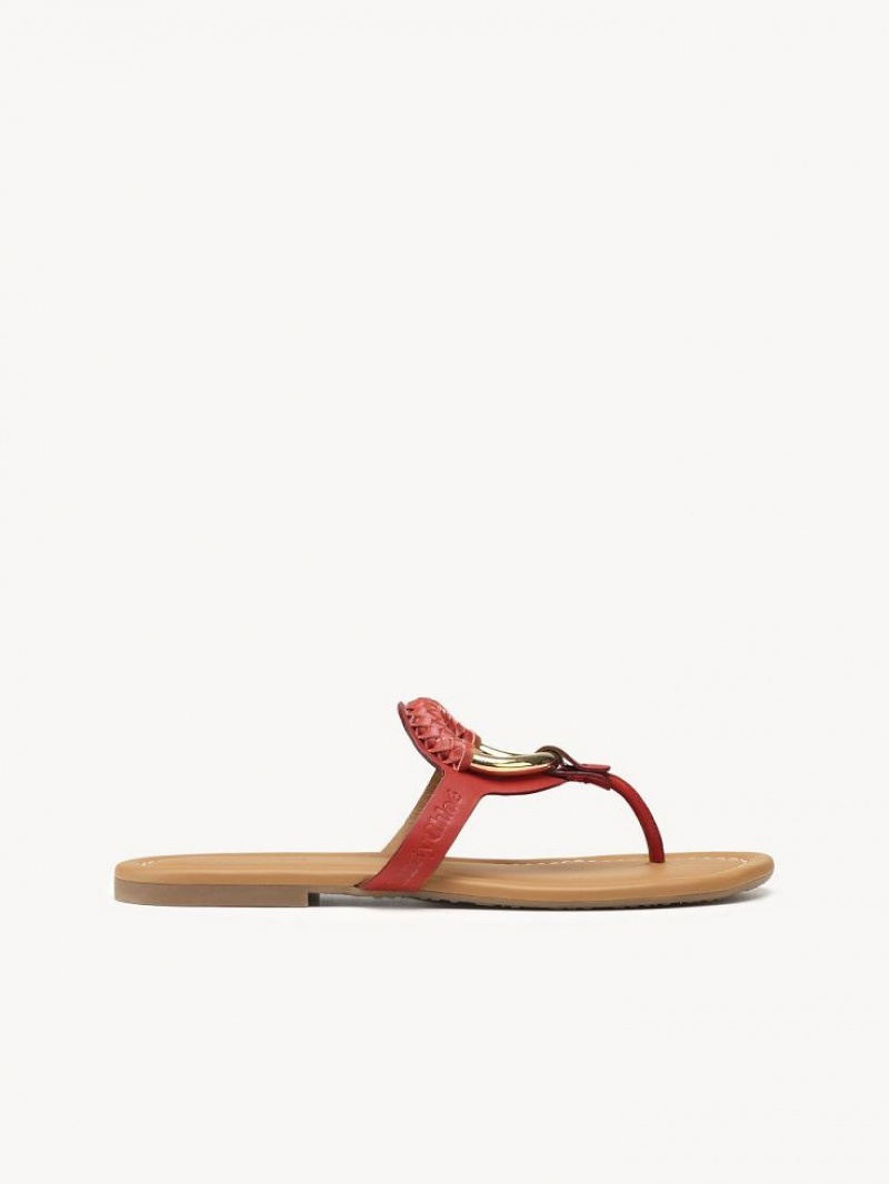 Chloe Hana Flip-flop Platta Skor Röda | CHE-SR14817