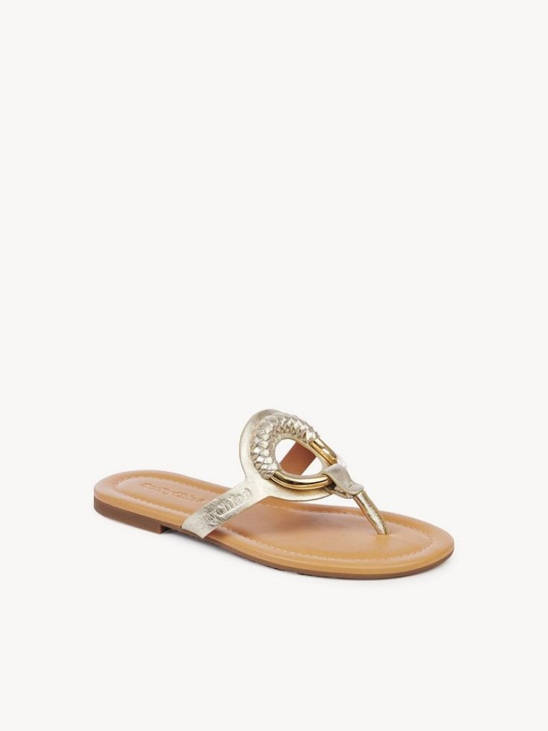 Chloe Hana Flip-flop Platta Skor Silver | CHE-SR14829