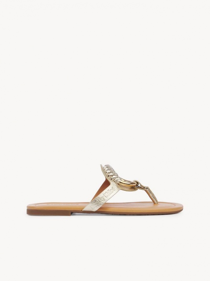 Chloe Hana Flip-flop Platta Skor Silver | CHE-SR14829