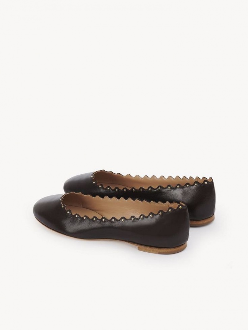 Chloe Lauren Ballet Flat Choklad | CHE-SR14253