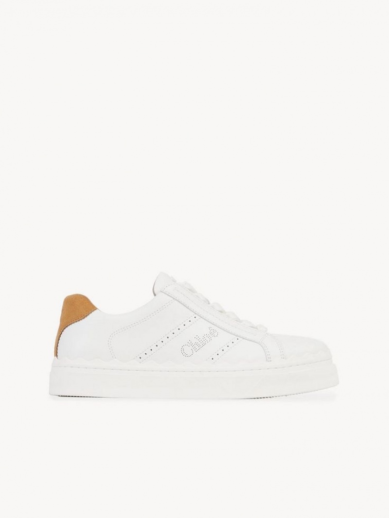 Chloe Lauren Sneakers Bruna | CHE-SR14185