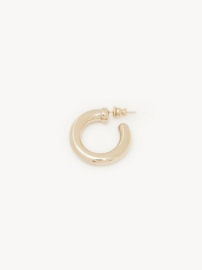 Chloe Maura Hoops Örhängen Guld | CHE-SR14359