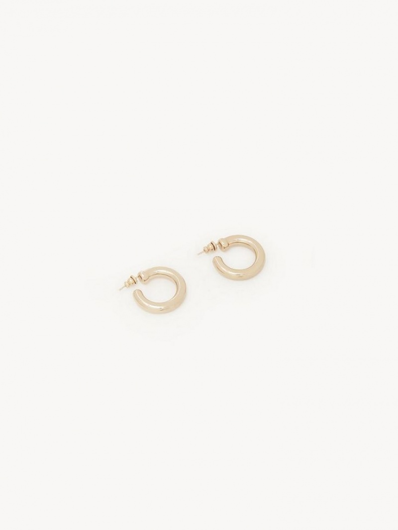 Chloe Maura Hoops Örhängen Guld | CHE-SR14359