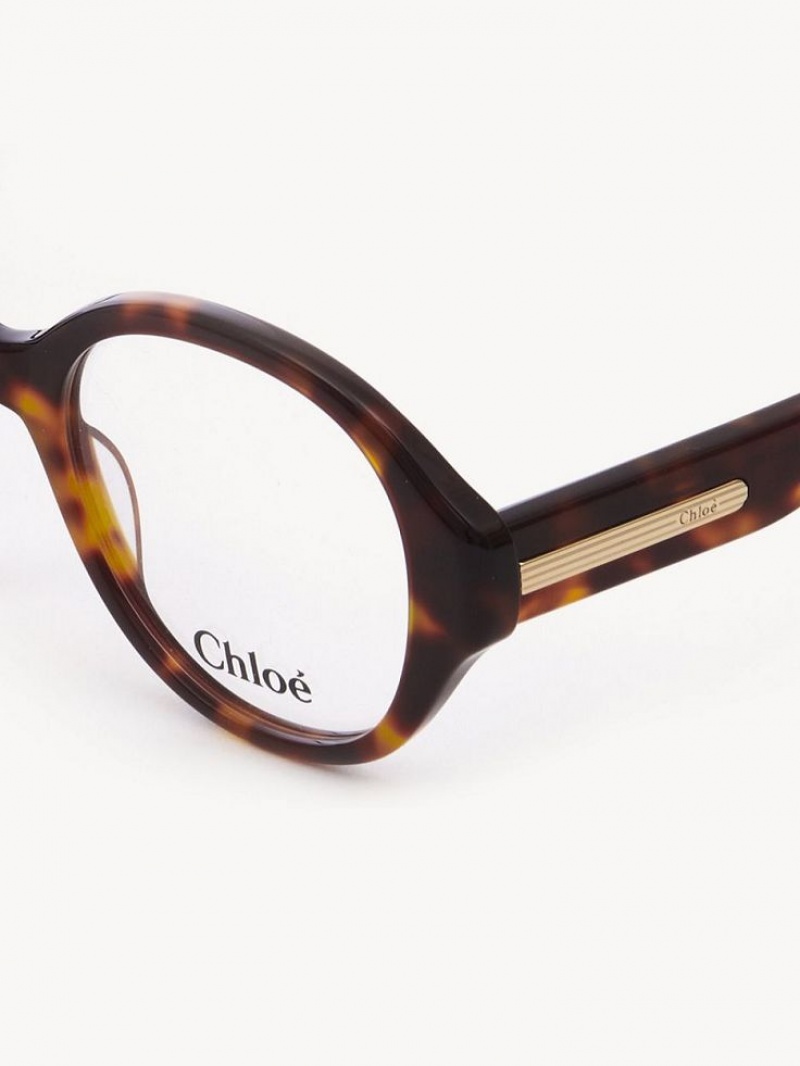 Chloe Mirtha Glasögon Havana | CHE-SR14583