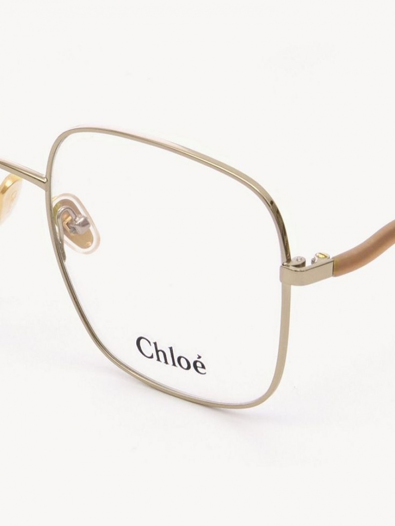 Chloe Noore Glasögon Bruna | CHE-SR14582