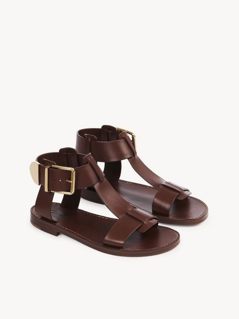 Chloe Rebecca Platta Sandaler Bruna | CHE-SR14141