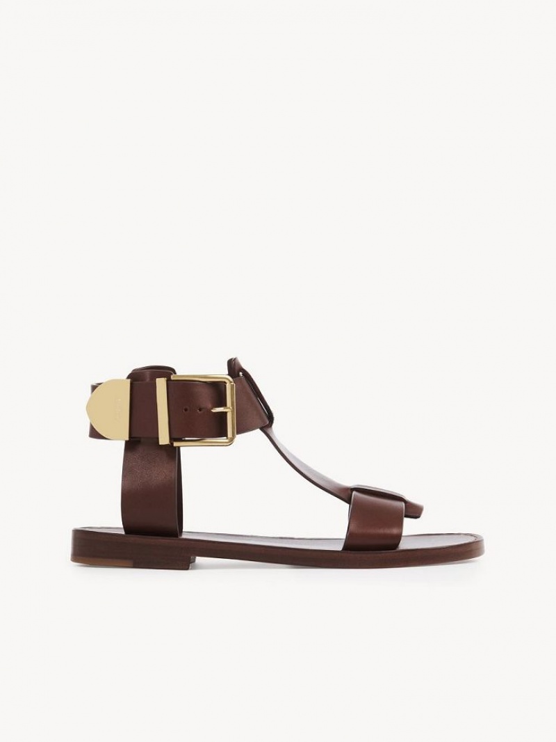 Chloe Rebecca Platta Sandaler Bruna | CHE-SR14141