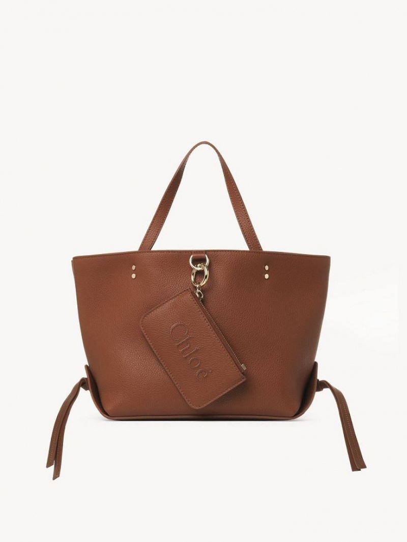 Chloe Sense Small East-west Axelväska Bruna | CHE-SR13422