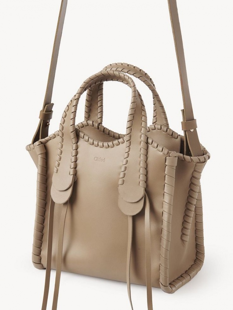 Chloe Small Mony Toteväska Bruna | CHE-SR13400