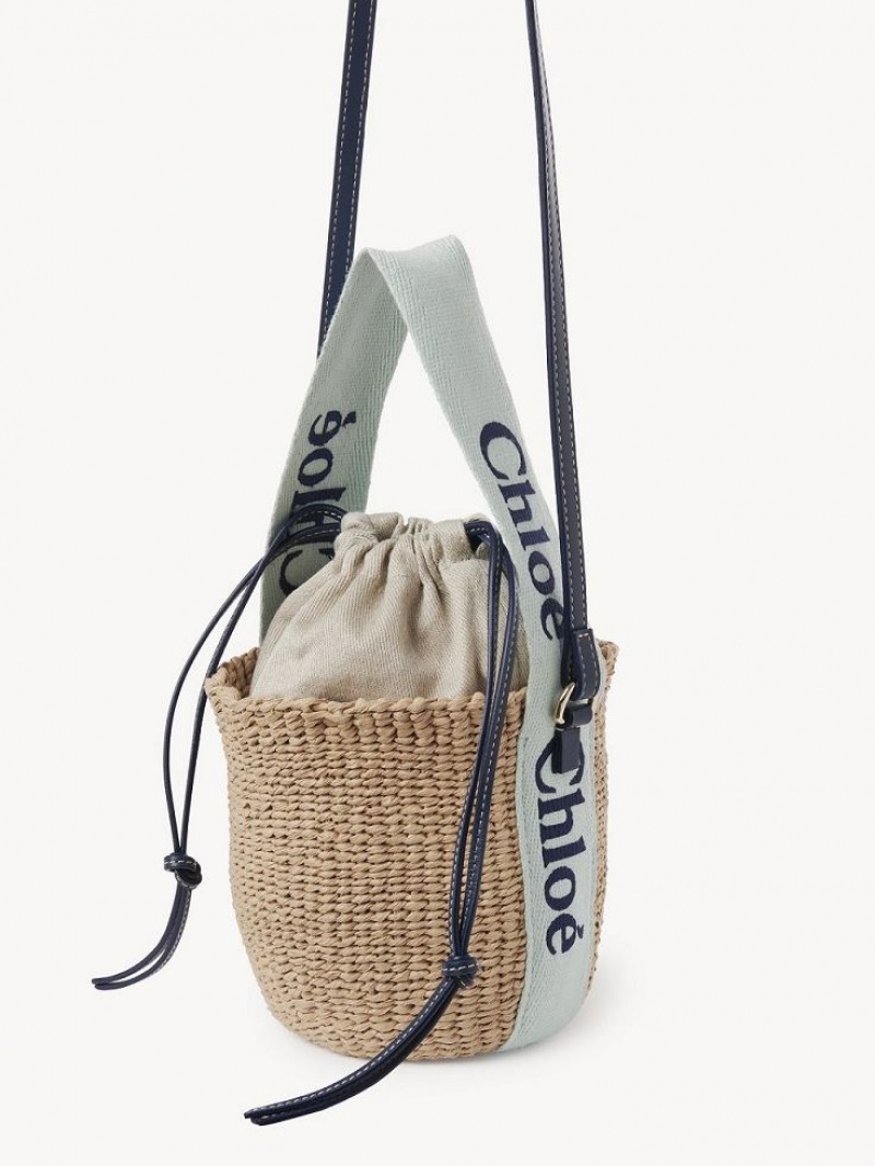 Chloe Small Woody Basket Crossbody Väska Gröna Blå | CHE-SR13617