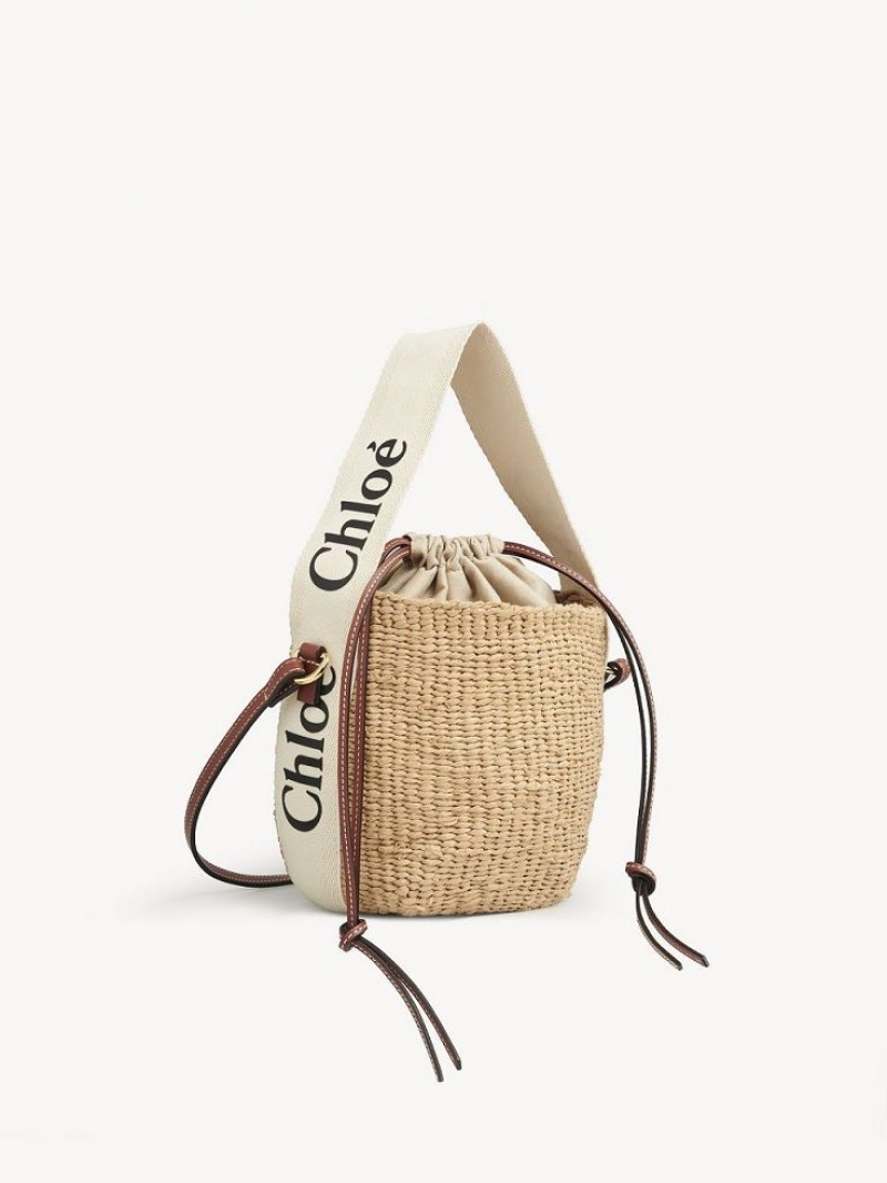 Chloe Small Woody Basket Mini Bags Vita | CHE-SR13659