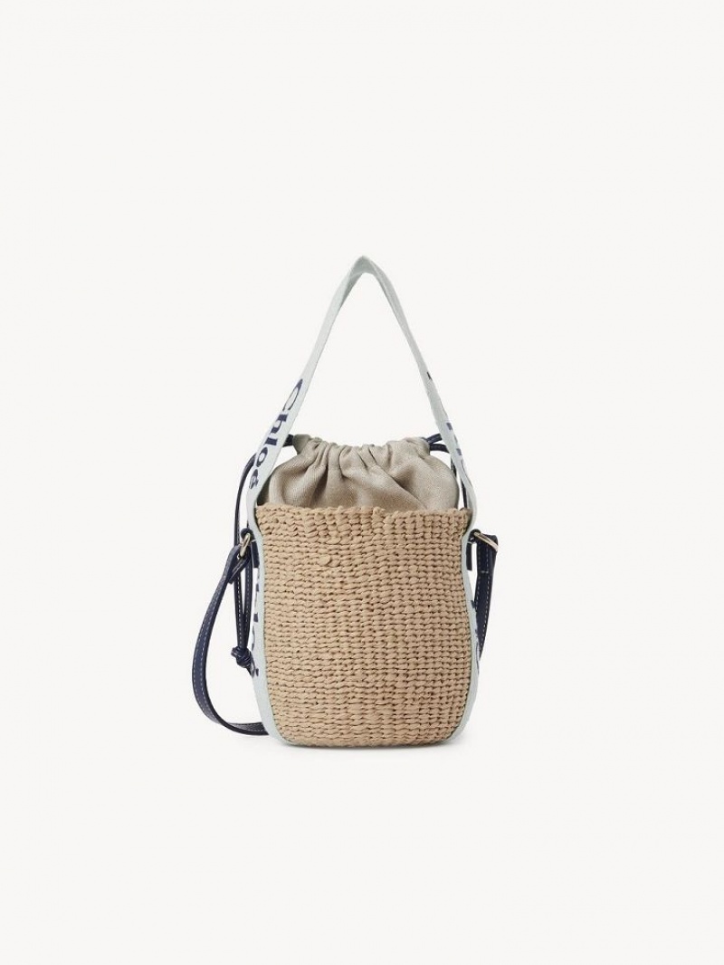 Chloe Small Woody Baskets Gröna Blå | CHE-SR13643